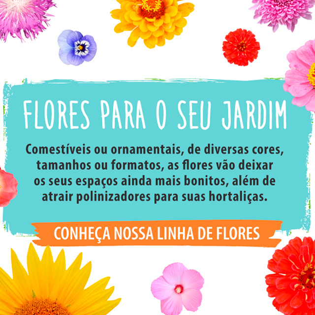 Flores