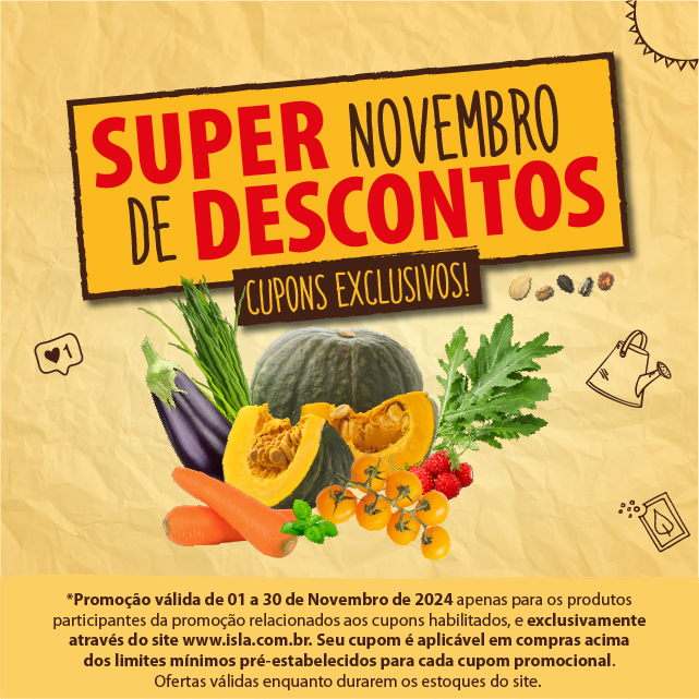 SUPER NOVEMBRO DE DESCONTOS